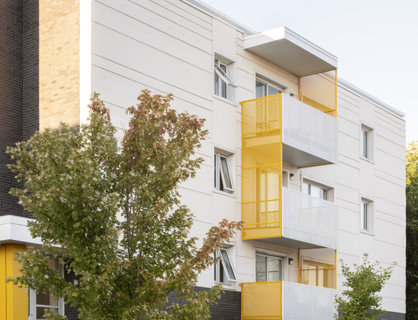 David Boyer Photographe OMHL Renaissance Inc 0003