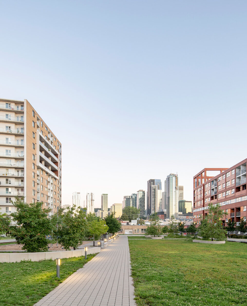 Cité Angus II | Projets | Aedifica